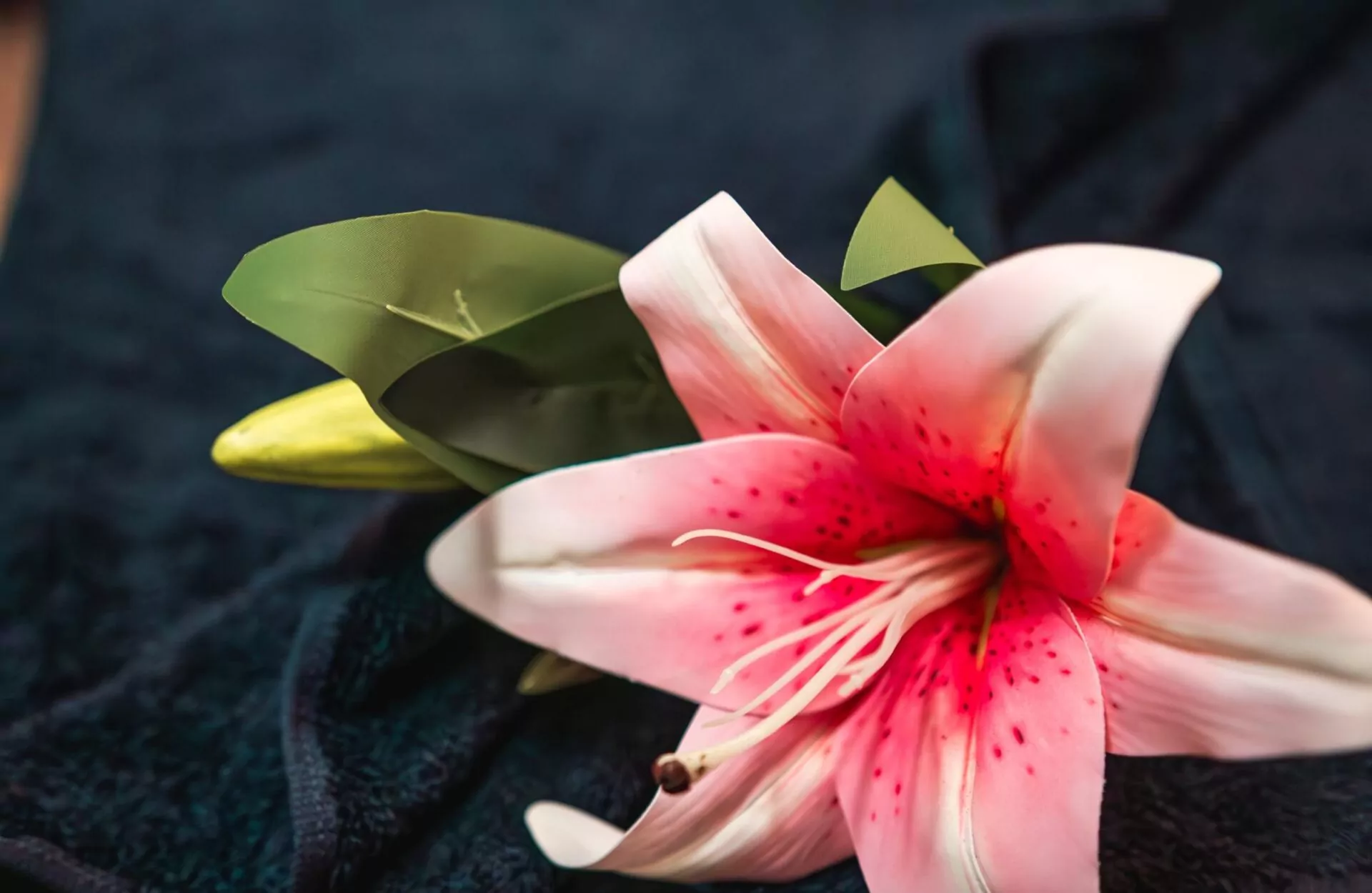 massage-garden_09-24-5